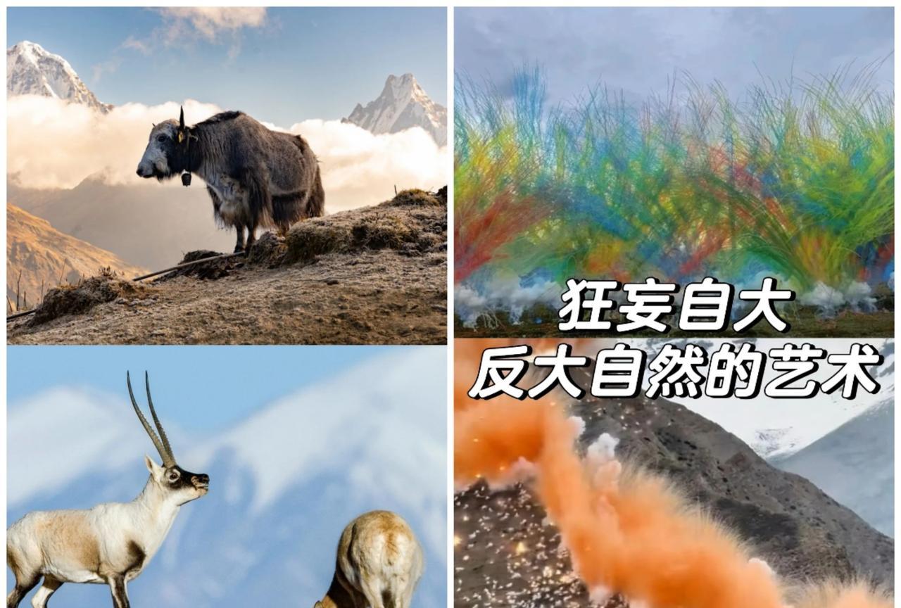 去查了查始祖鸟的事真是不查不知道，一查气到要嘎始祖鸟在喜马拉雅山脉，这个地球