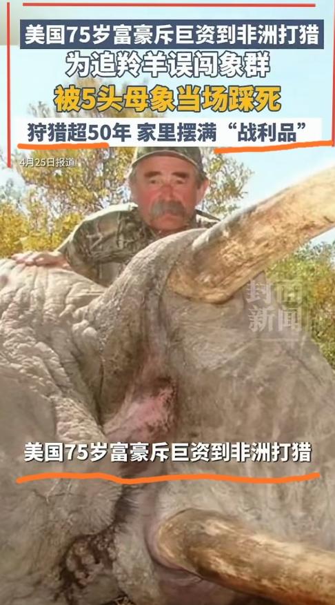 瓦罐常在井上破，将军难免阵前亡。美国资深猎人兼百万富翁多西奥，近日在非洲加蓬“猎