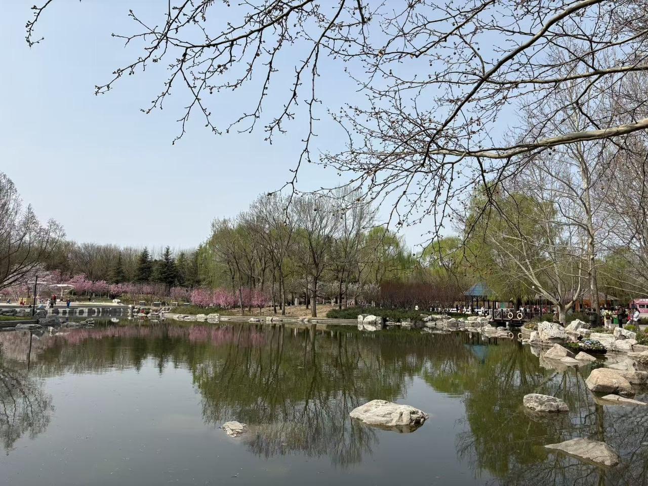 今年春天最想实现的心愿多运动，多去欣赏大自然，让身心灵和大自然溶为一体