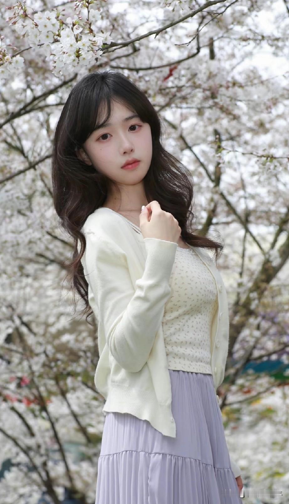 樱花树下，少女轻抚发丝，春意盎然