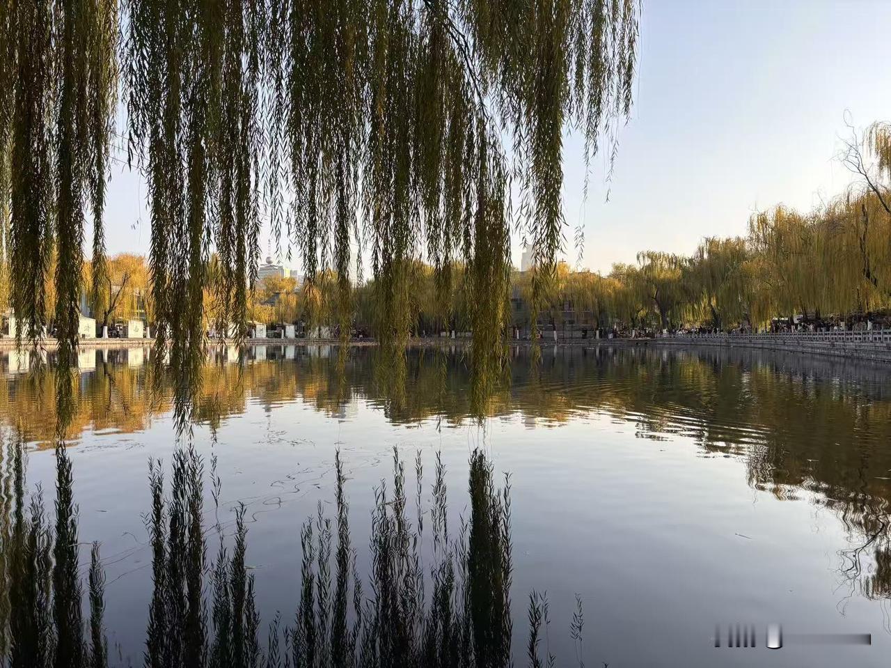 人真的不能把太多心思放在工作上，能糊弄过去就行。这两天听说我们单位的某个领导原