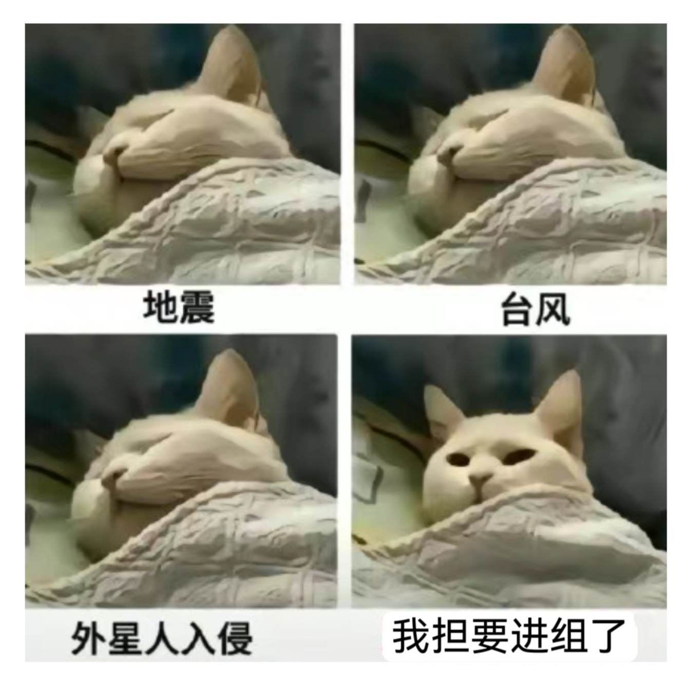 翻相册看到22年存的一个表情包，哈哈哈适用于枯水期的我belike​​​