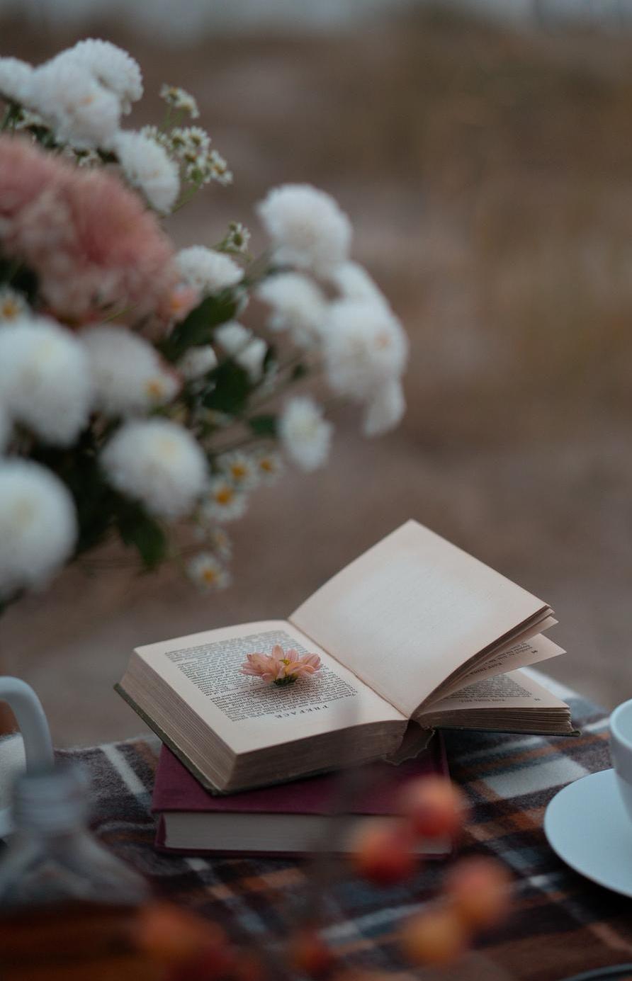 一段非常现实的话：“中年人是绝对不可能谈恋爱的！因为中年人大部分颜值都不行，但社