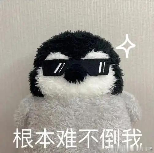 有点阴招全用舅舅身上了我老舅在我小时候经常在我弟面前，把“外甥是条狗，吃完他就走