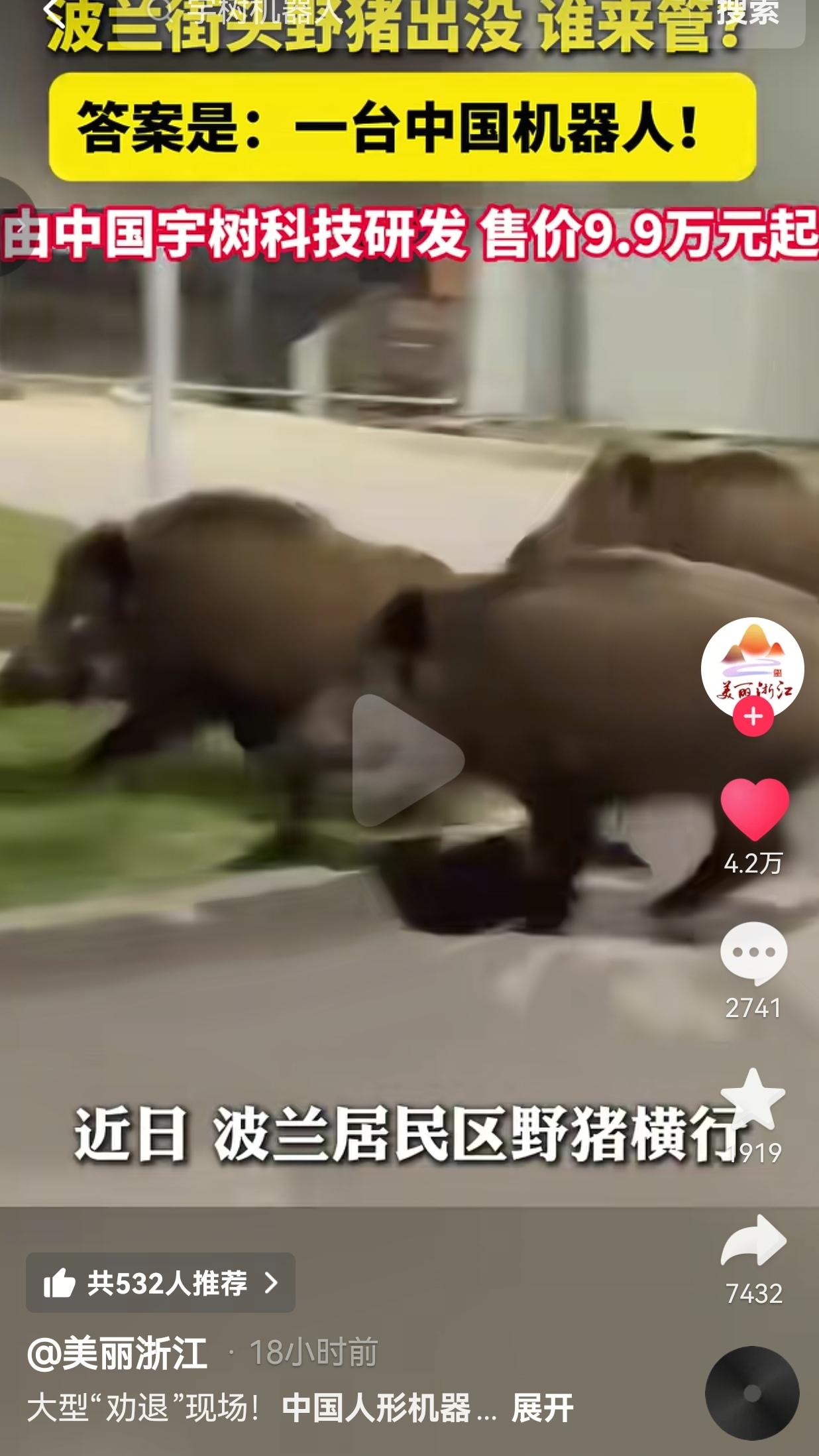 这简直是现实版的“未来科技降维打击”！波兰街头突然冒出一群野猪横冲直撞，当地人愁