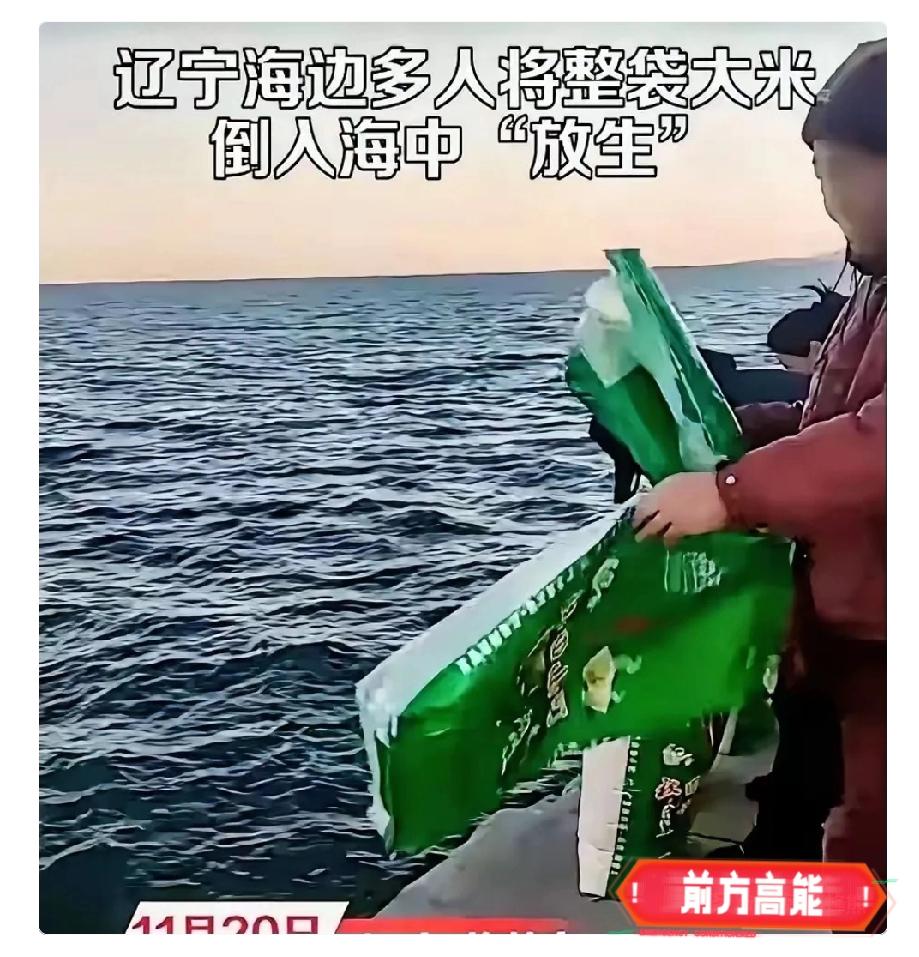 人真的不能吃太饱！辽宁海边居然有人在放生大米！而且还不是个人行为，而是有组织的集