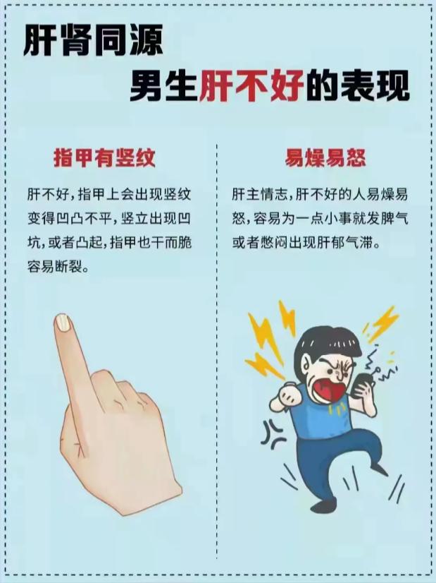 肝肾同源：男性肝功能不佳的常见表现