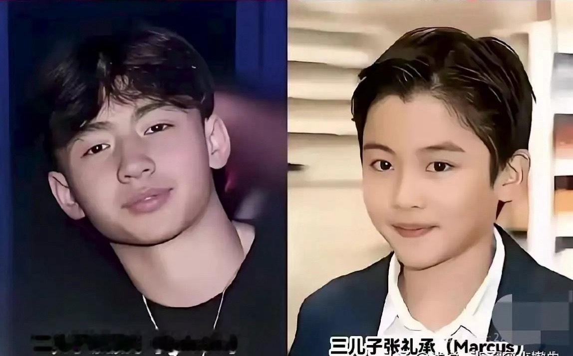 看张柏芝三个儿子的状态就知道，她肯定是个好妈妈！