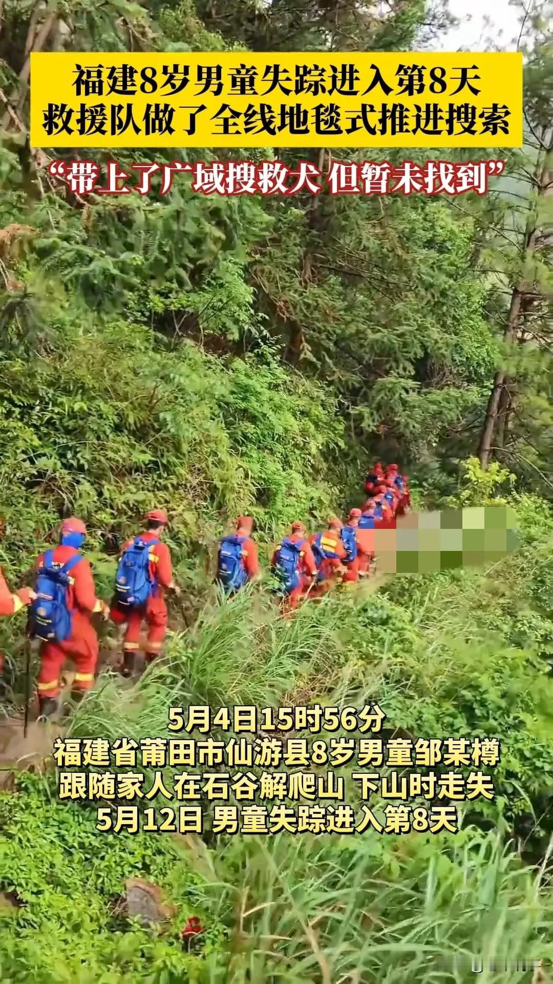 福建8岁男童失踪第8天！暴雨中搜山7天7夜，搜救犬出动仍无踪迹5月12日，