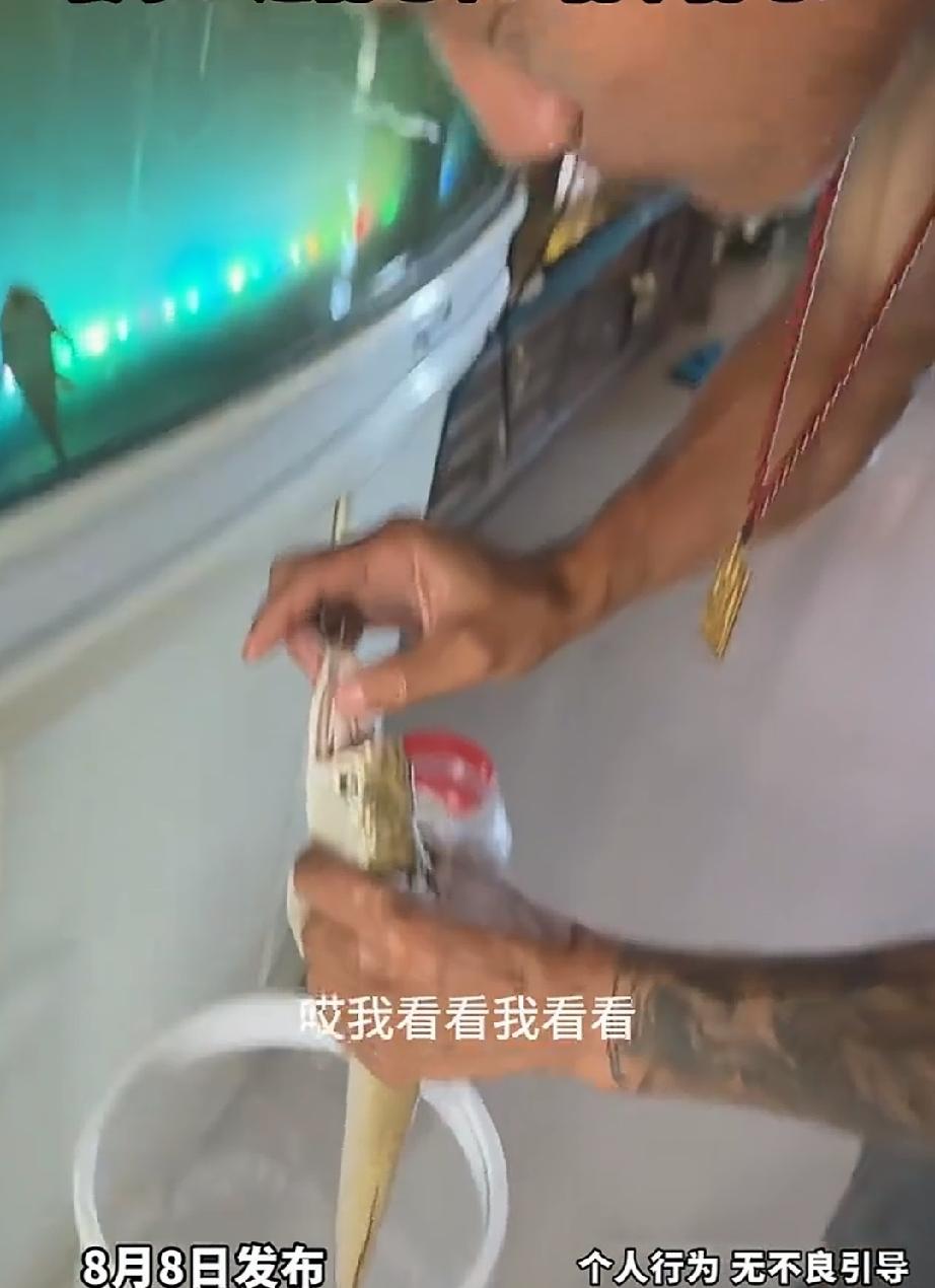 大哥一觉醒来，习惯做的第一件事，看他最心爱的银龙鱼。发现银龙鱼直挺挺的在鱼缸里面
