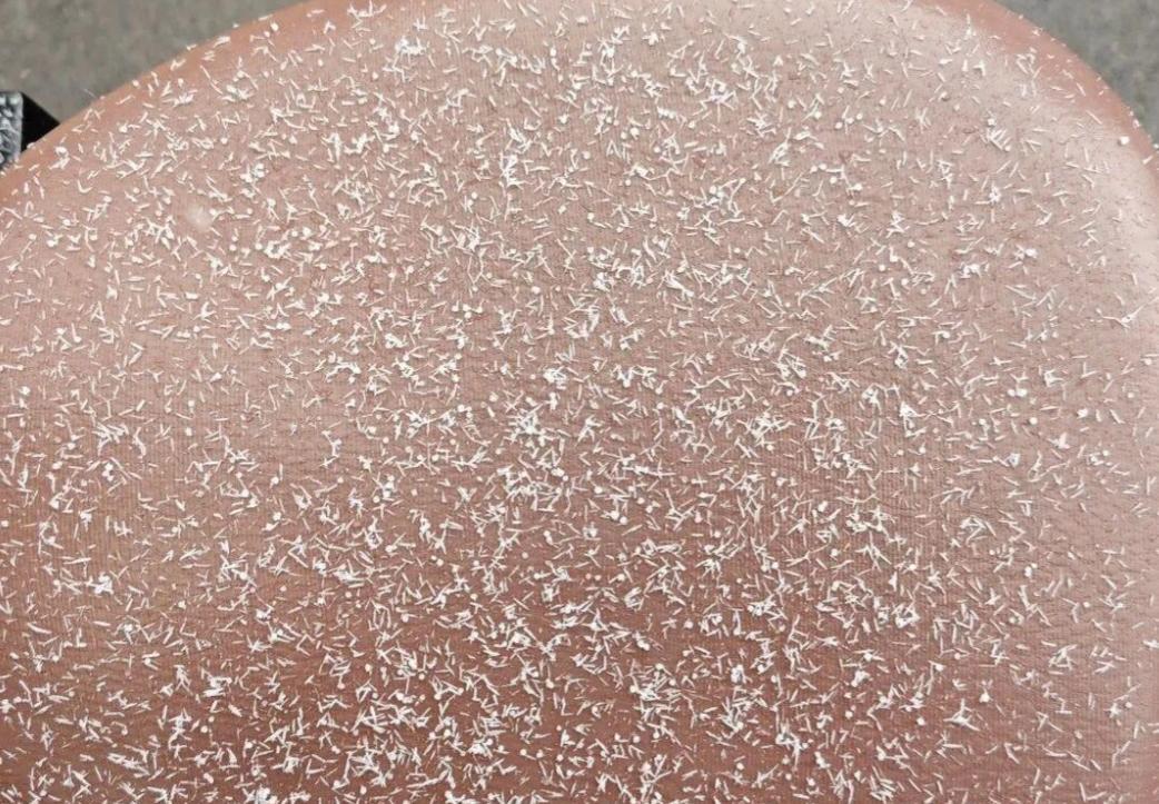 山东这场雪，竟然下出一个“世界未解之谜”来。1月18日，济南等地的“暴雨梨花针