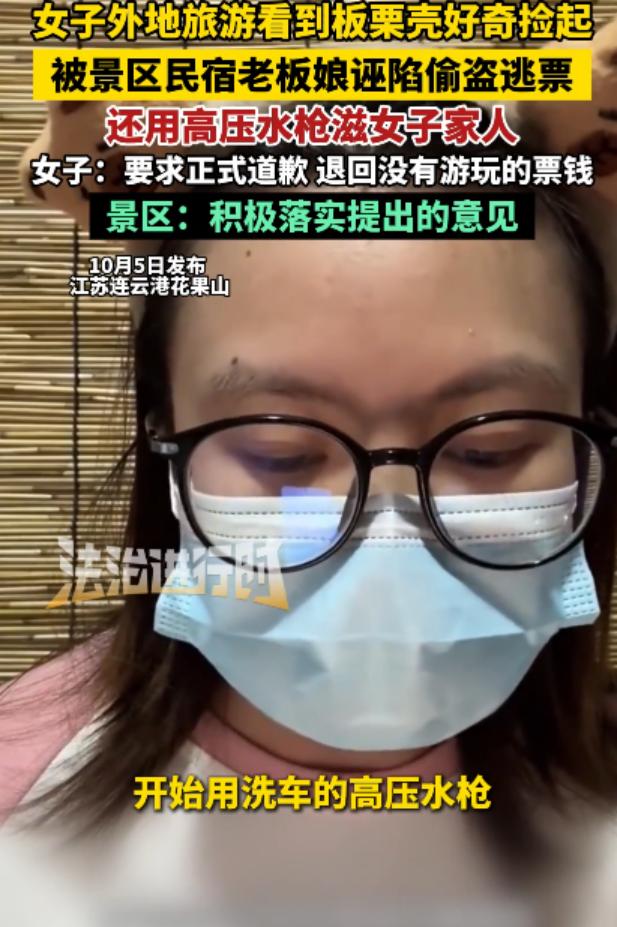 大家不要再骂花果山景区的老板娘了！看上去是游客吃亏赔了300，实际上倒霉的可