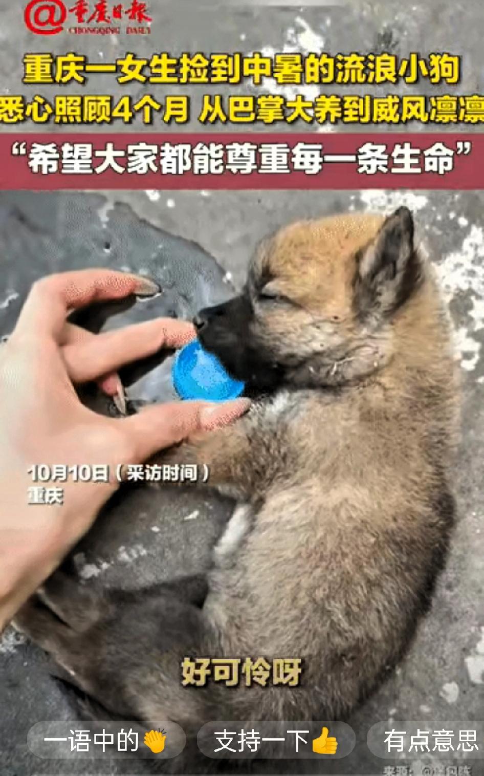 “被爱会疯狂长出血肉！”重庆这位女生的善举，看完直接暖到心里六月的重庆热到路