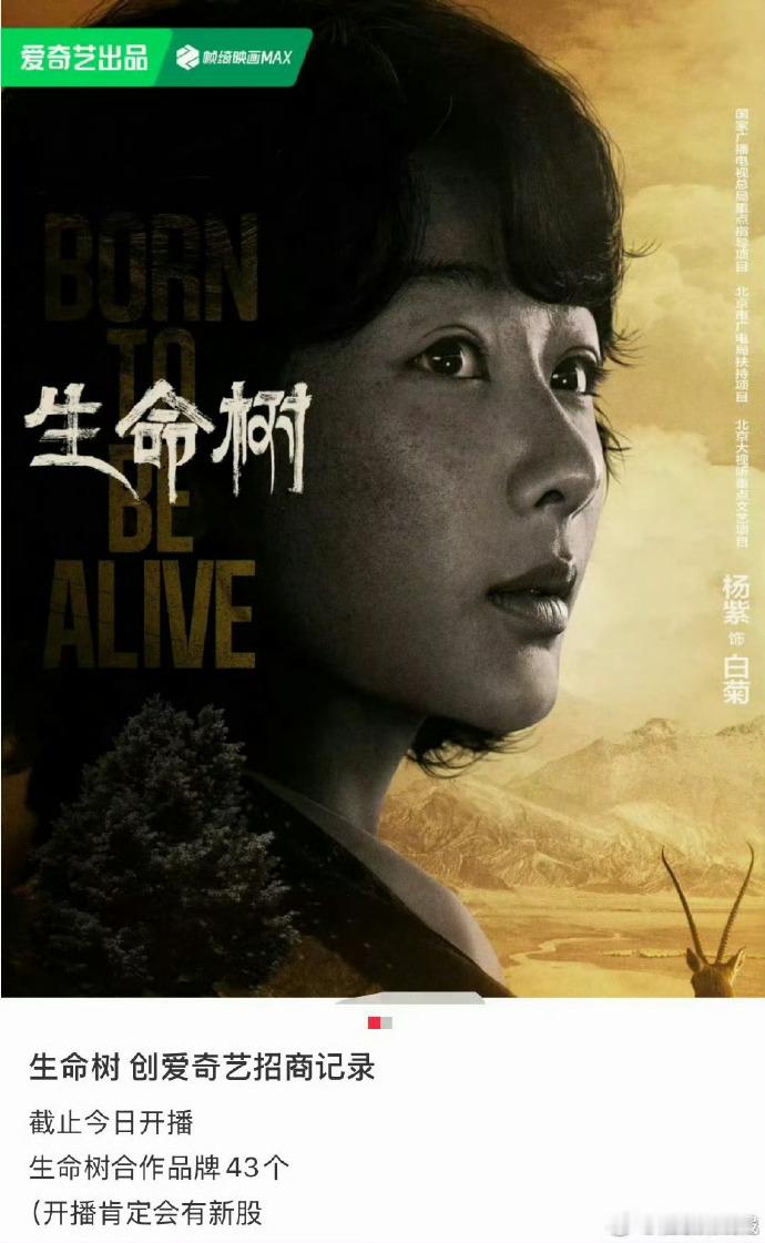 四十七支广告与生命树同步首播，杨紫让广告的呈现契合剧集的节奏，剧集突破平台招商的