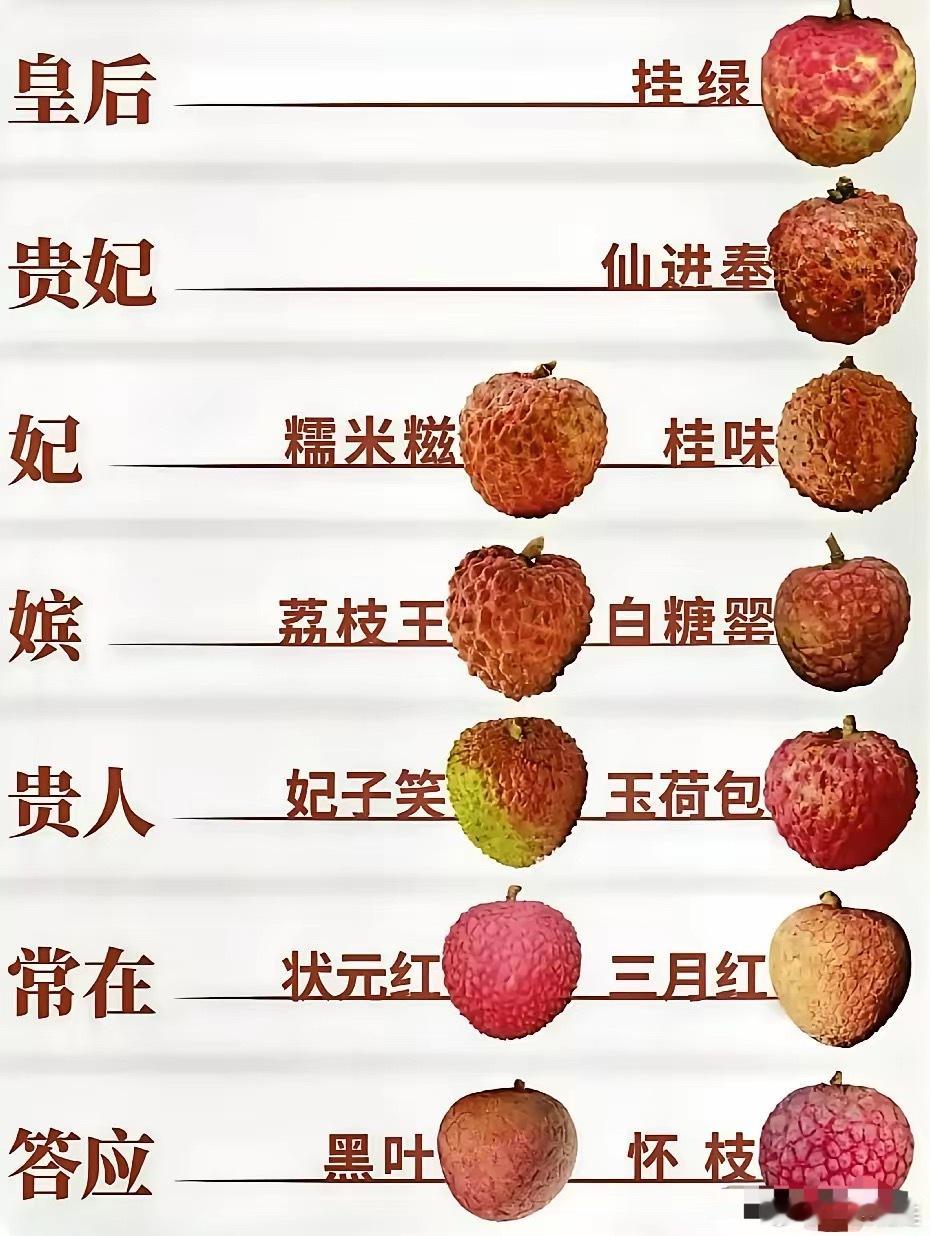 大家认得几种荔枝？在我心中桂味就是荔枝的天花板，虽然前两名俗称荔枝中的爱马仕，但