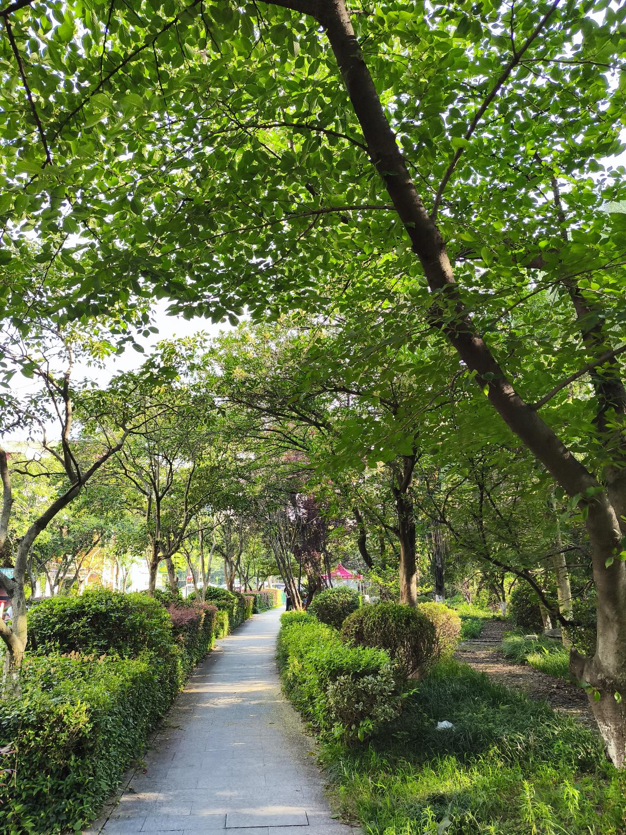 南京这天气，简直是个“戏精”！7月14日刚官宣出梅，高温就立马来“接棒”，当天下