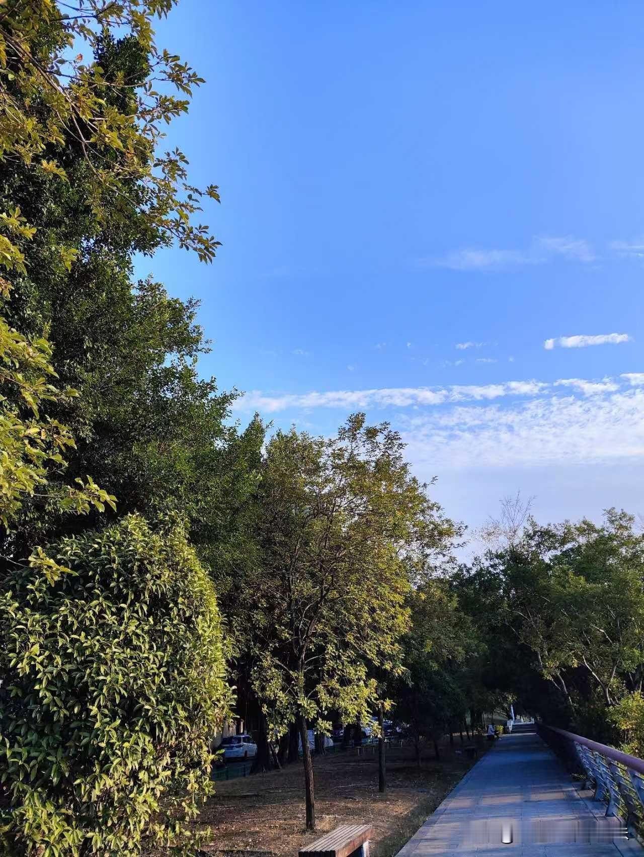 全国只有2%的家庭能存够50万现钱。这话是央妈说的，你信不信？作为