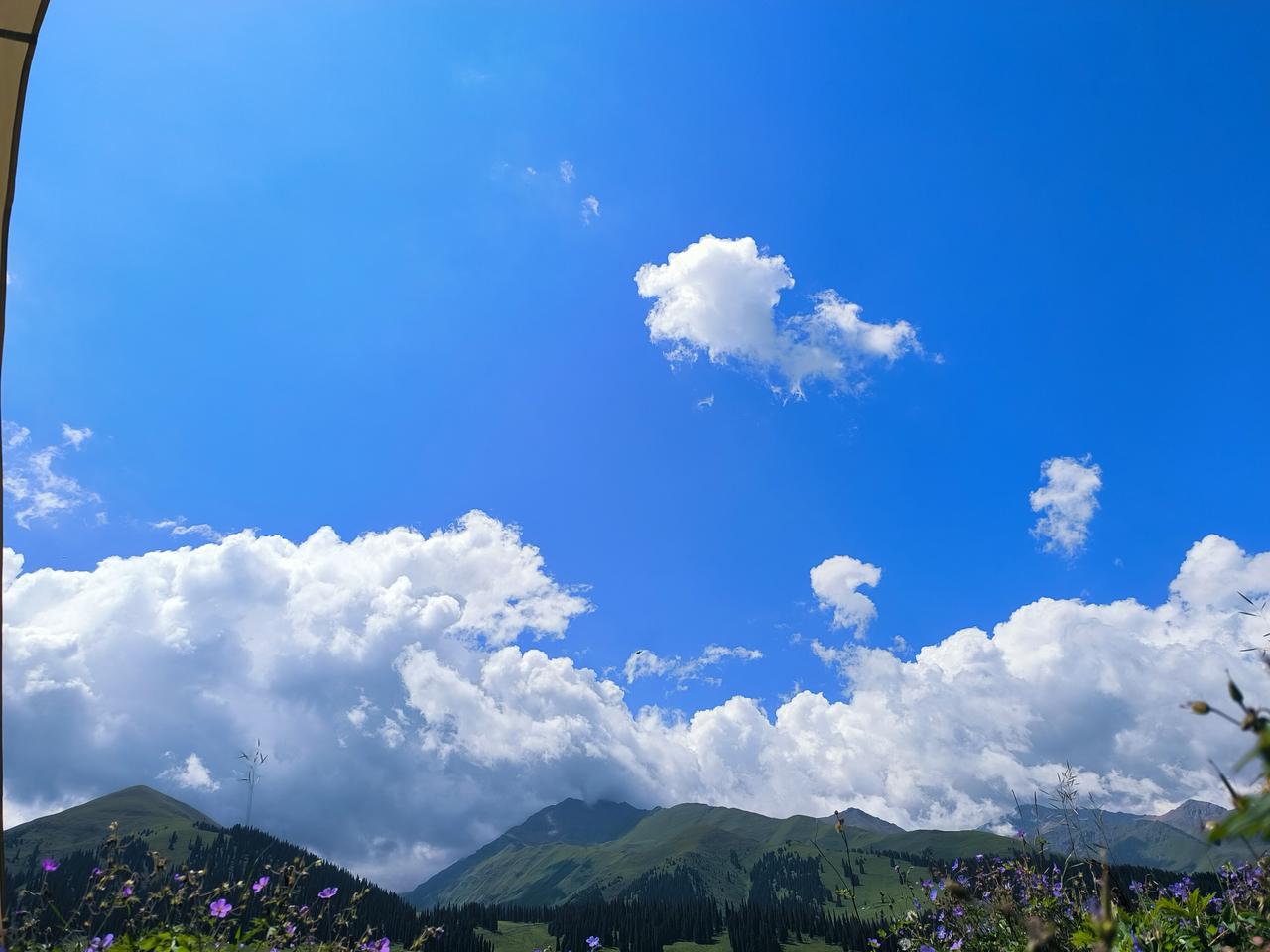 胡校长说，特别头疼带教师外出。他讲起了一件往事，至今仍然觉得内疚。那时候政策