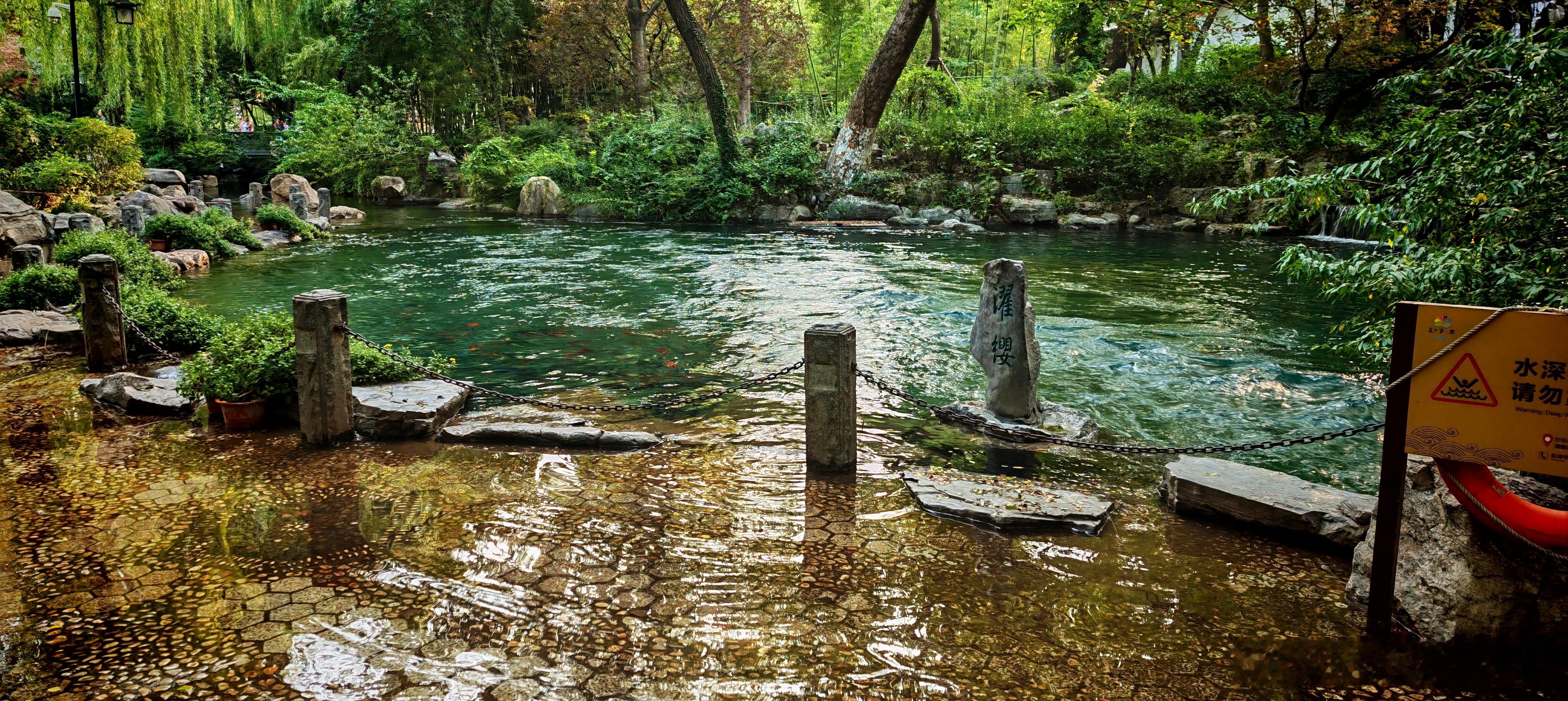 没想到济南泉水的水量在这个秋天达到了顶峰，趵突泉、五龙潭景区的水已经漫到地面上了
