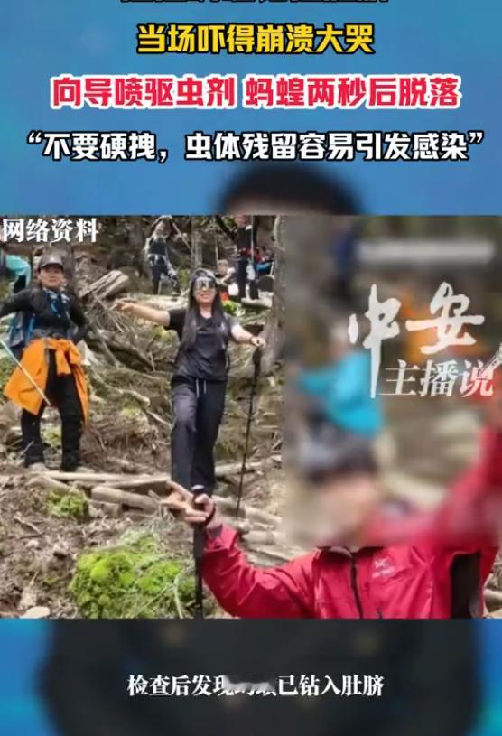 😖“后怕不已！”云南香格里拉，一女子随18人徒步队进山，走着走着肚脐一阵刺