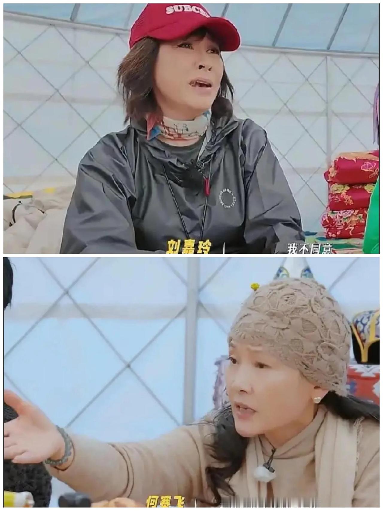 刘嘉玲：“我就是不想生孩子！”何赛飞：“都像你这样，生命还怎么延续啊，要传宗接