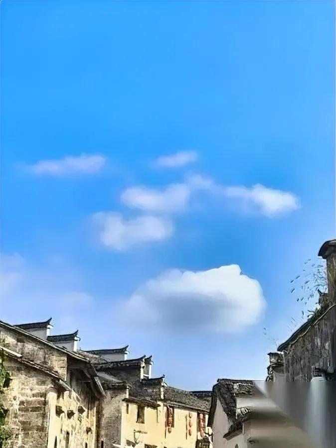 退休女副总闹返聘？两次申请才返聘成功为啥同事都骂她？退休前年薪50万的女