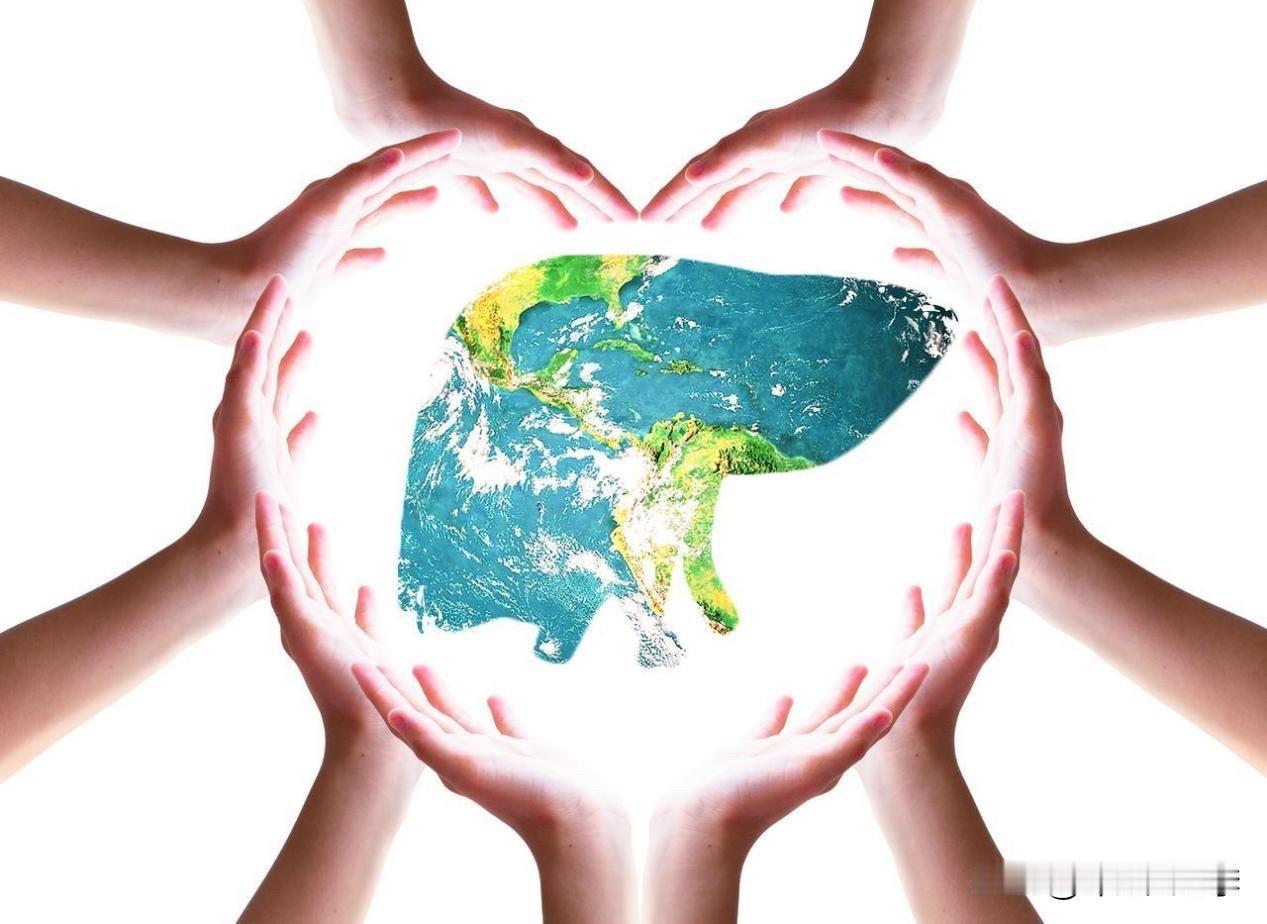 你的肝，还好吗？2026全国爱肝日主题直击痛点：遏制肝硬化，远离肝癌！