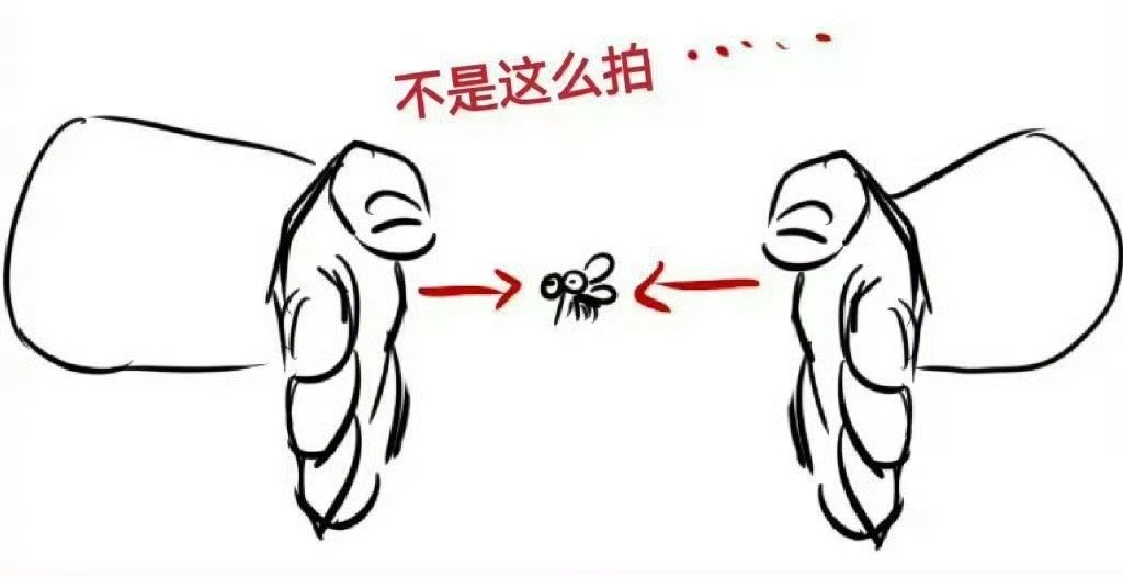 原来拍蚊子也是有技巧的，是用上下夹击，而不是左右夹击。​​​