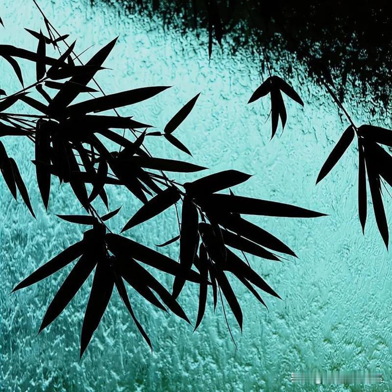 十二星座的恋爱加分项：白羊座：直球出击，有事绝不藏着掖着金牛座：舍得花钱，