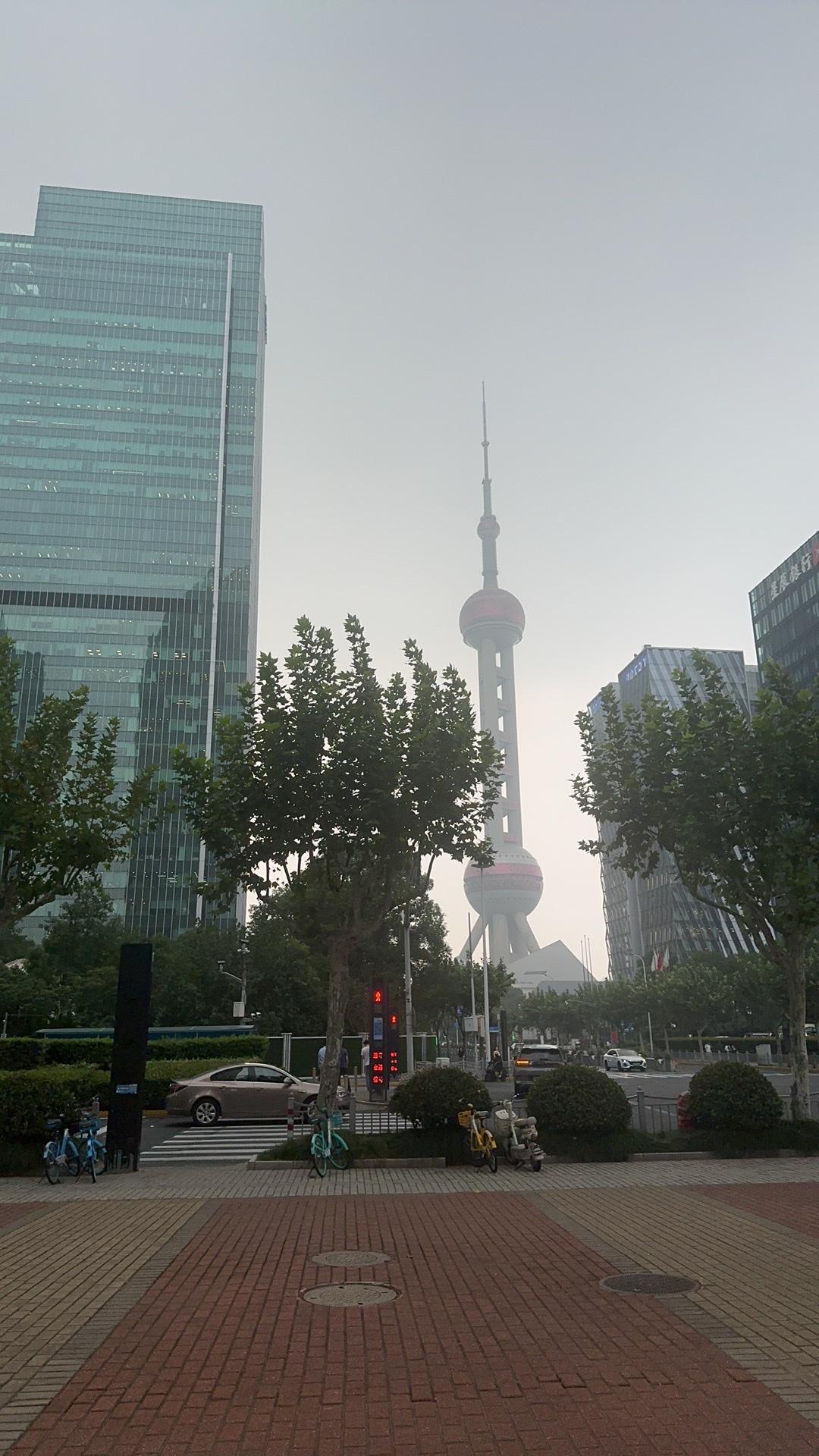 【琅河财经】肯定有不少人好奇，为什么你把中国的稀土吹得这么厉害，那为什么不早点打