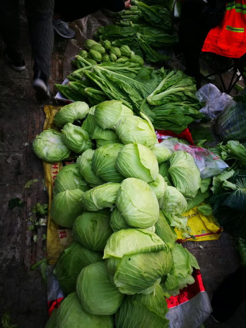 生活怎么会每天都一样,日子是重复的,但生活是新鲜的。