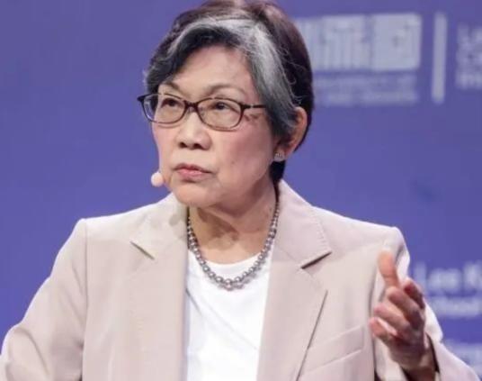 新加坡大使一语惊人：不管中国愿不愿意，全世界都已经这么看中国了！到了2026年