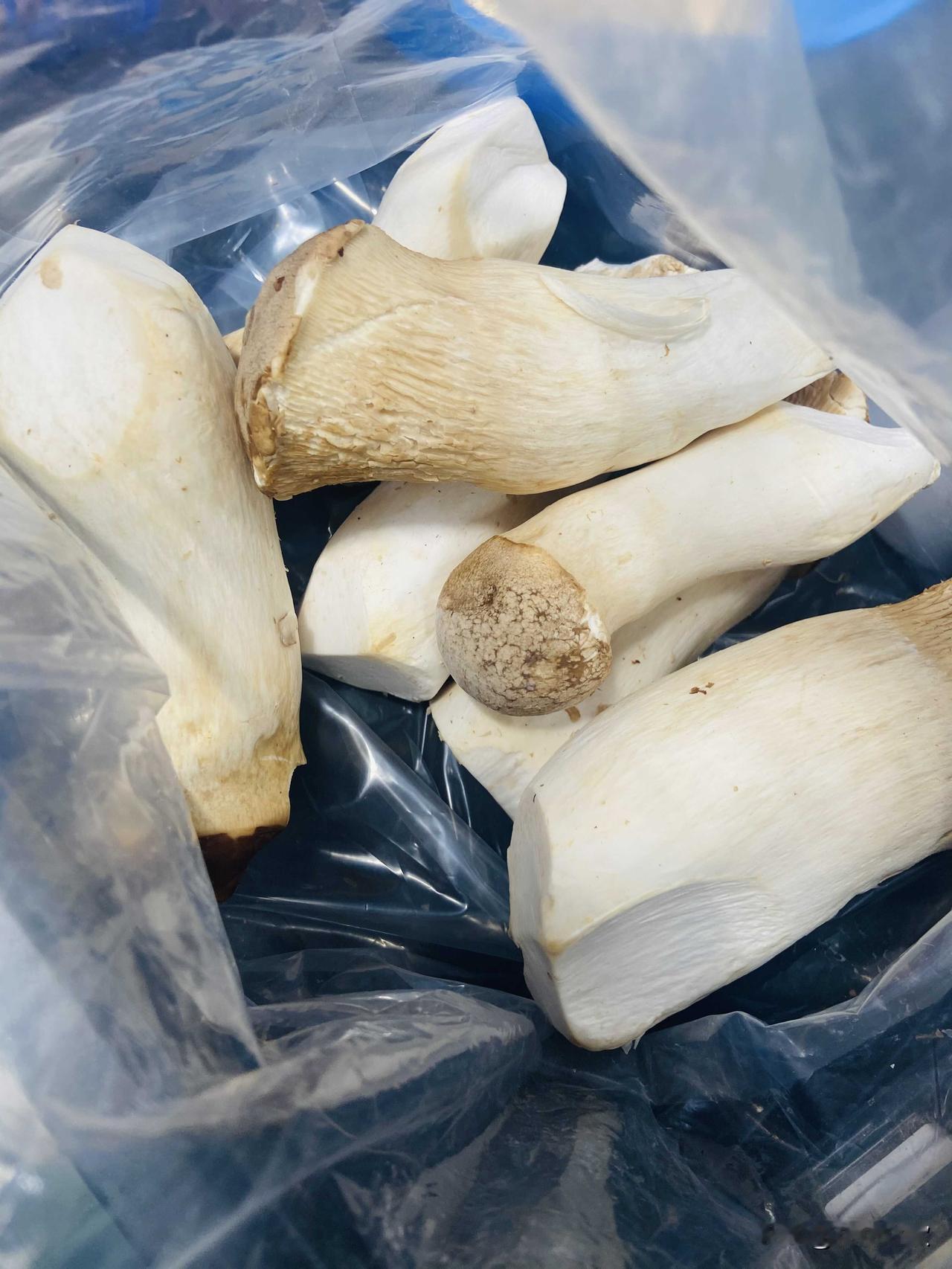 想吃友友晒的煎杏鲍菇，结果买菜的时候一看，杏鲍菇都不新鲜了，算了，算了，做不了香