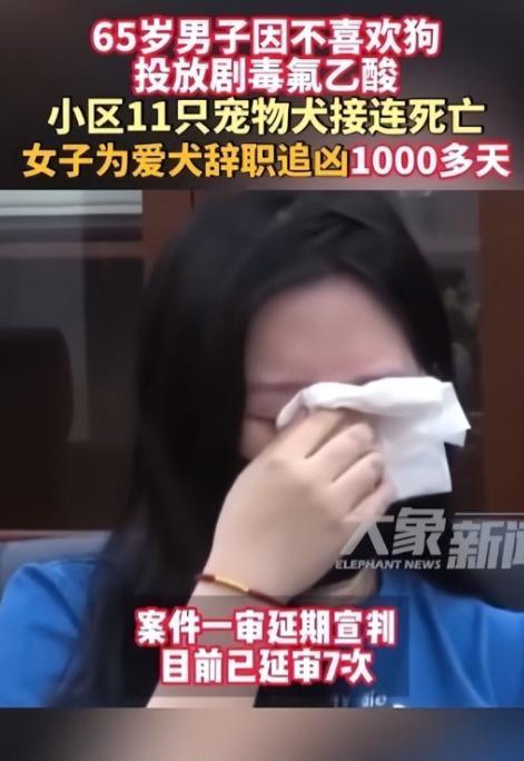 太执着了，北京一名女子因宠物狗被毒死，辞职寻找凶手！6月19日，这起案件已经延期