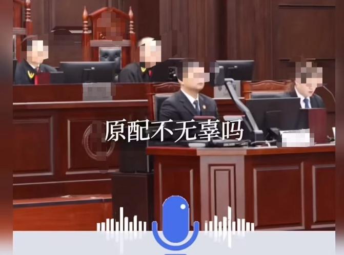 这个律师的一番质问，让法官哑口无言！律师：“都说私生子是无辜的，难道原配就不无辜