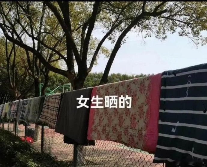 男生和女生晒被子的区别​​​