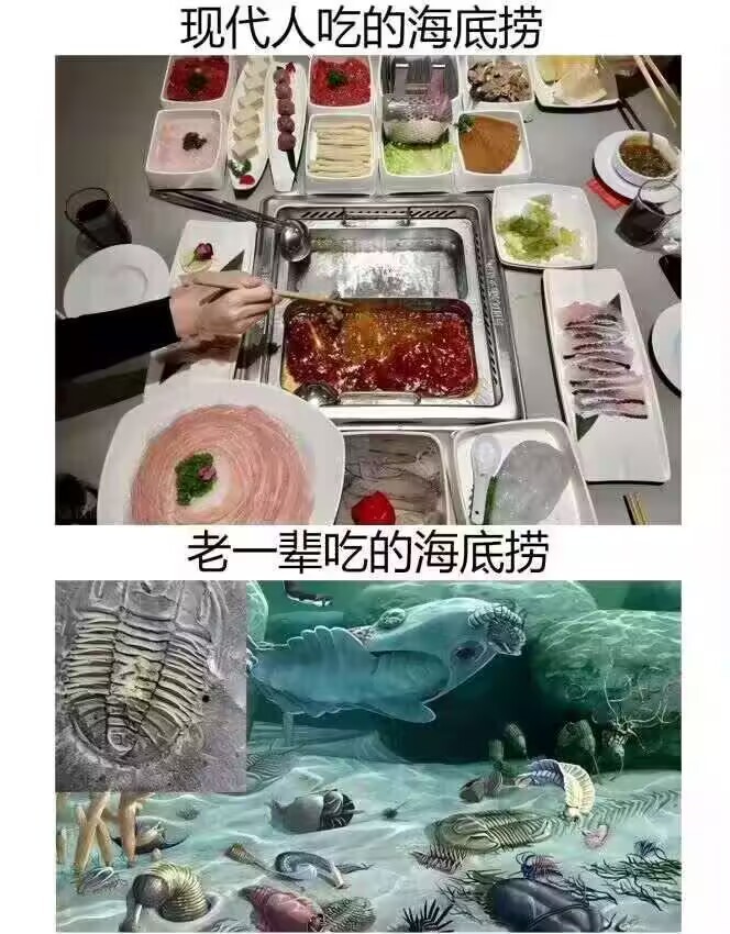 自助式​​​