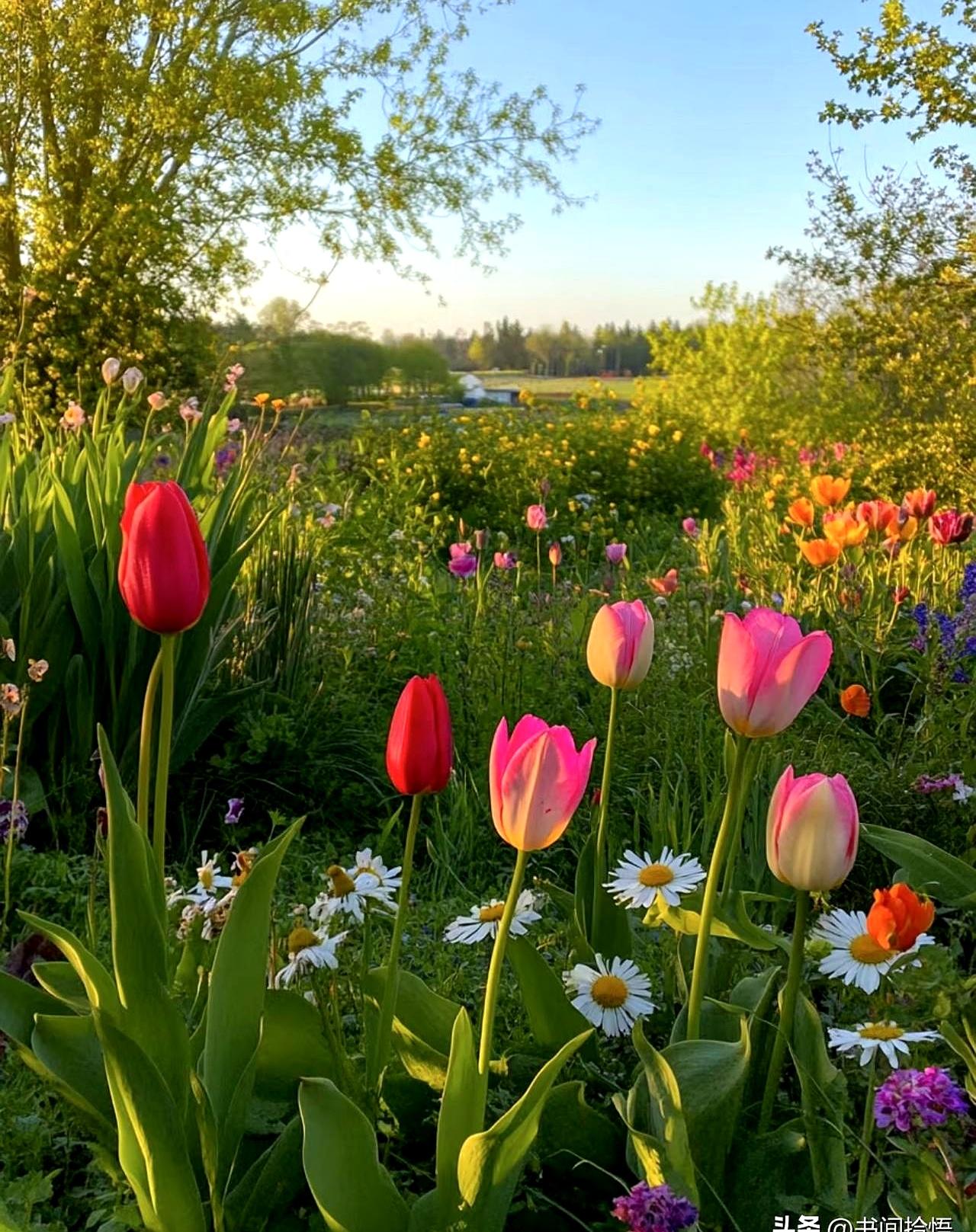 说个可能有点冷冰冰的大实话，花大几万甚至十几万买块墓地，小心翼翼存着的骨灰，可能