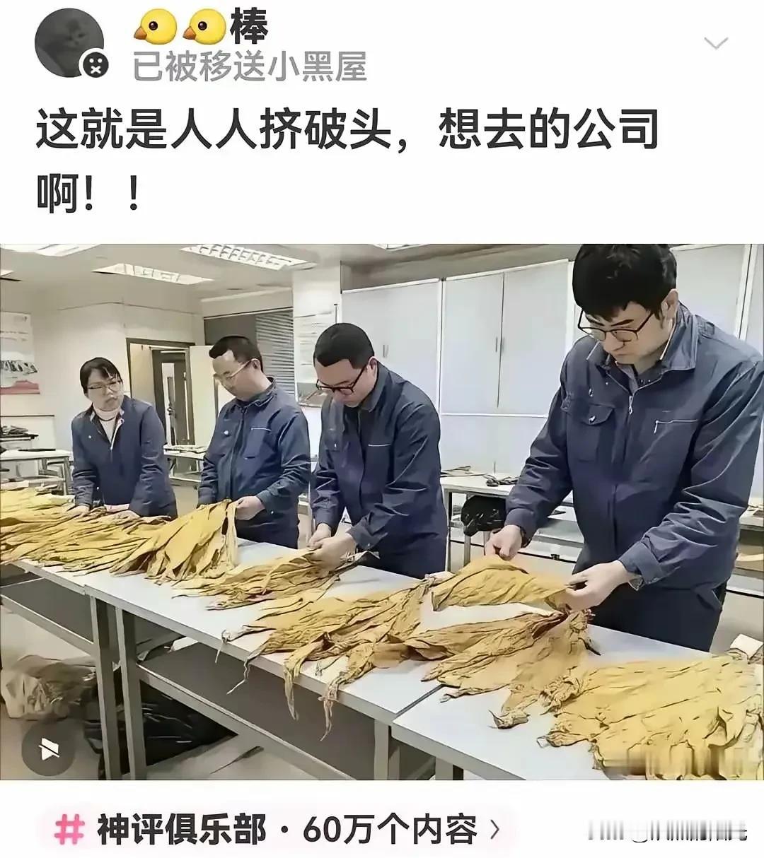 这公司真有那么好吗？
