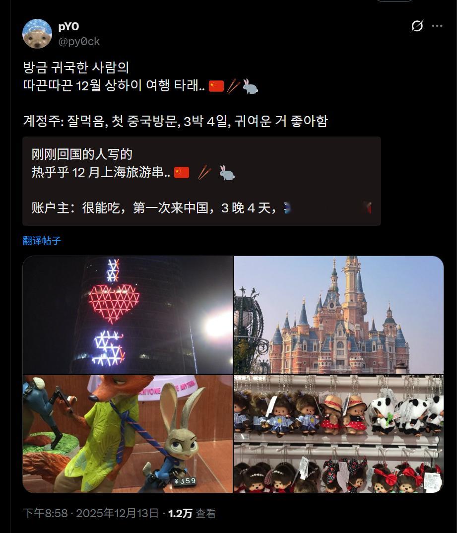 🔻网友分享：一个韩国游客的典型上海之旅（机翻不显示韩语原文）。🔻虽然行程模板