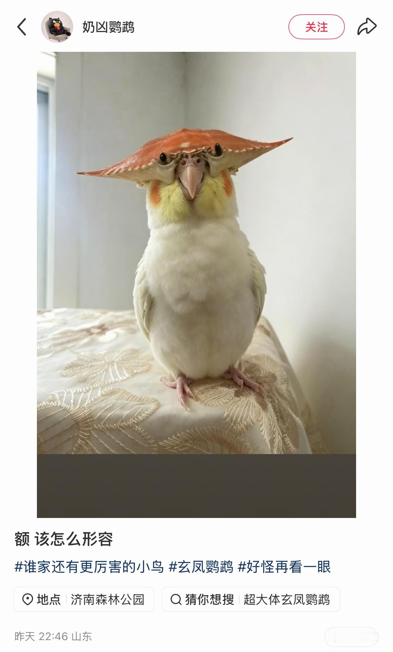 彦祖，收手吧
