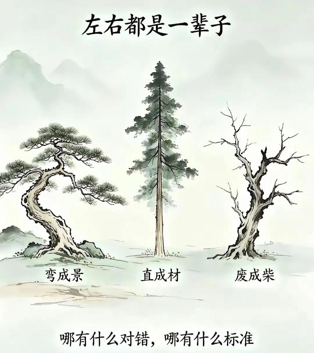 能看懂的都是聪明人！