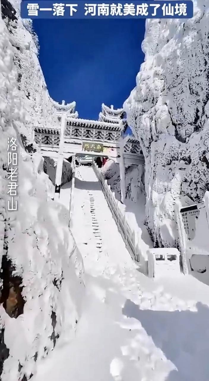 一下雪，河南就美成了仙境，这话一点不假。老君山、嵩山等地的雪景短视频播放量突破2
