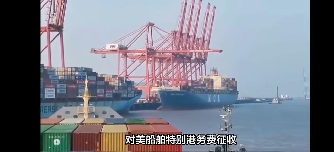 112万！美籍船长听完港口报出的数字，直接原地破防，连问三遍“Areyous