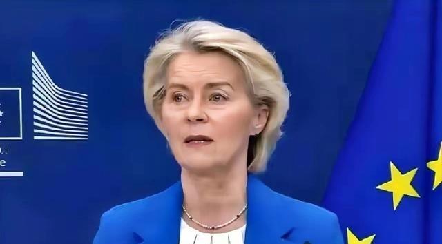 欧盟一把手冯德莱恩，当着全世界的面，说出了一句荒唐到离谱的话——最廉价的能源就是