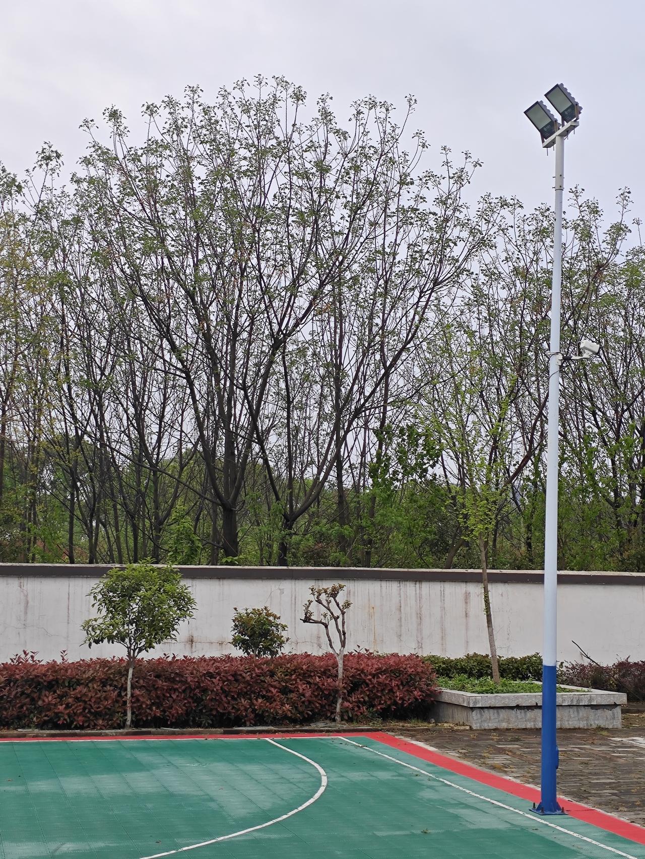 为什么现在女副高教师的原法定退休年龄本是60周岁，而中级职称，不能到60岁退休？