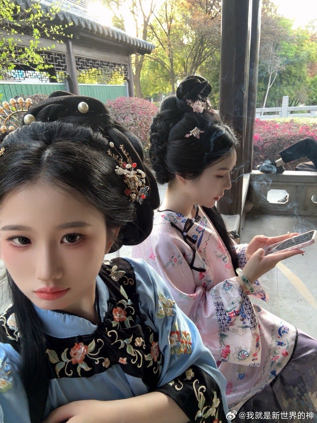 你一句春不晚南京