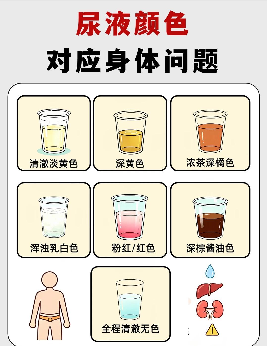 尿液颜色暗藏健康信号，不同颜色代表什么问题
