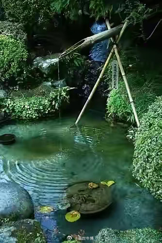 股市赢家的共通特质：不是聪明，而是“反人性”​​在股市中，聪明的人比比皆是，但真