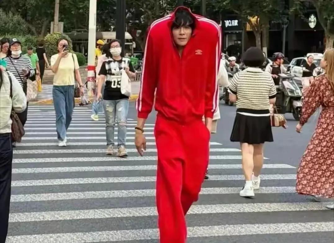 要不就回家继承家业吧！别人都是靠作品爆红和维持热度，而向佐是一直靠奇装异服，这